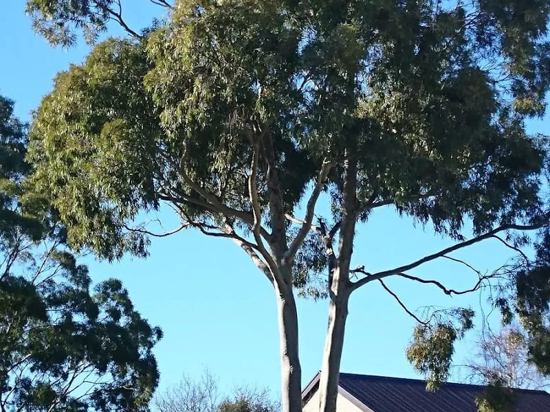 Regis Capel Sound - Nursing Home in Capel Sound, VIC photo 6