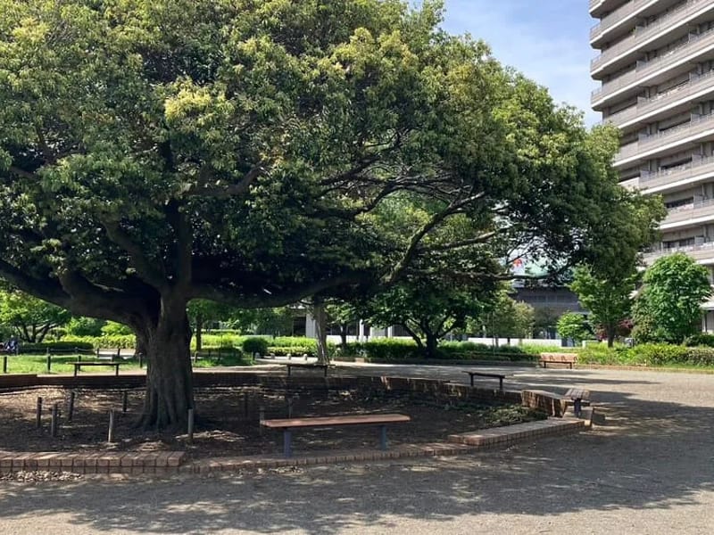 ななかまど - 有料老人ホーム in 相模原市緑区, 神奈川県 photo 3