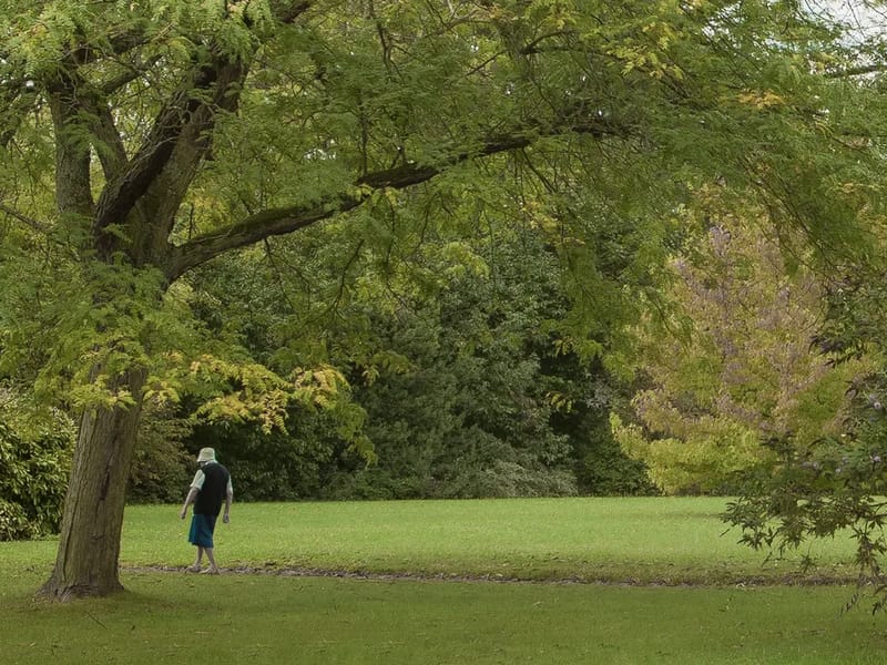 St Vincent Home - Nursing Home in Singapore, Singapore photo 2