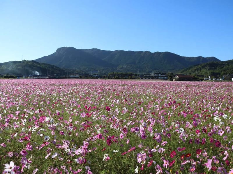 ひだまり - 有料老人ホーム in 中津市, 大分県 photo 2
