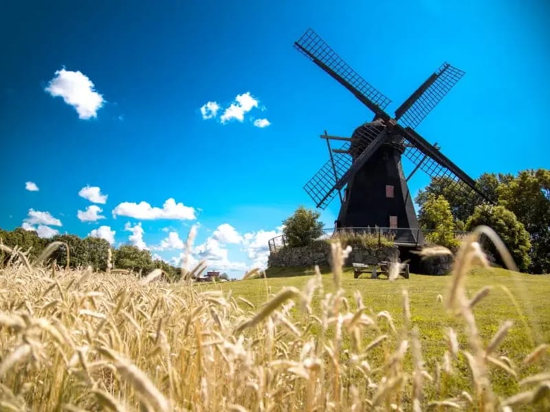 Södra Sandby - Äldreboende in Lund, Skåne län photo 3