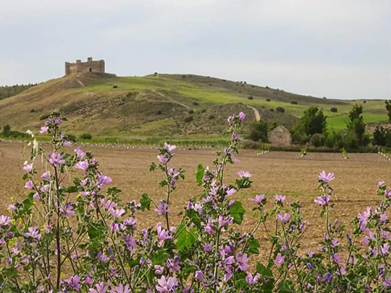 Vm De Villaescusa De Haro - Vida Asistida in Villaescusa De Haro, Castilla-La Mancha photo 3