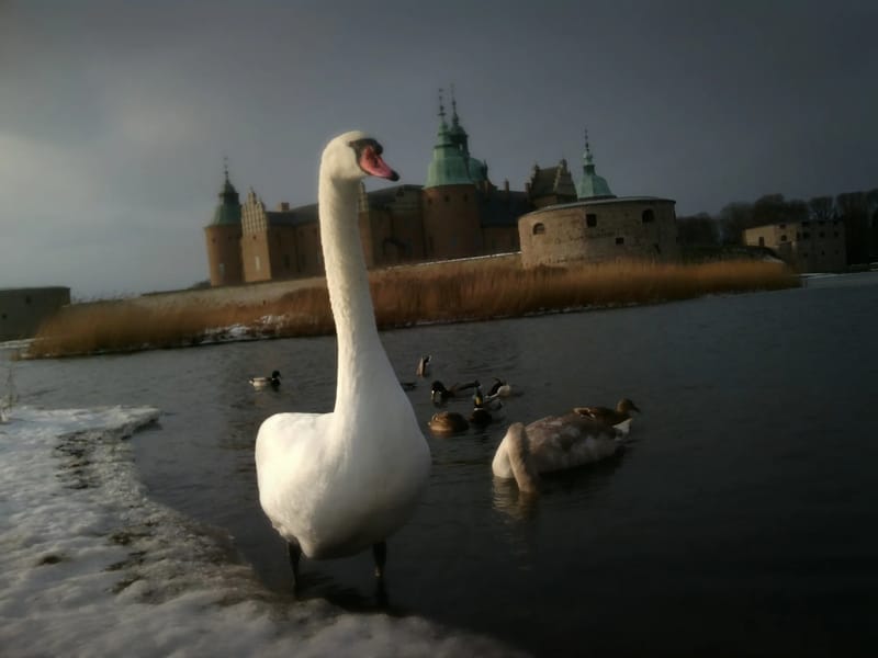 Kaggen - Äldreboende in Kalmar, Kalmar län photo 3