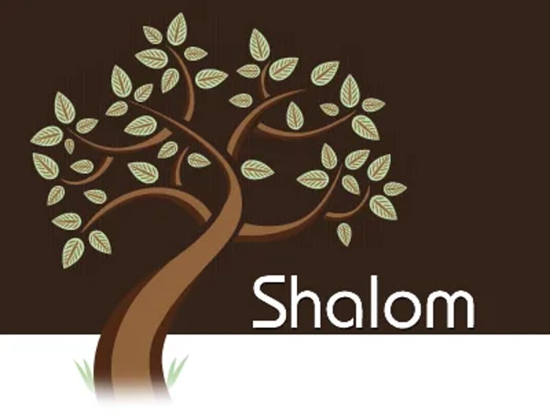 Shalom Care - In-Home Care in Dagenham, England photo 3