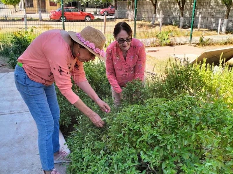 INSTITUTO NACIONAL PARA LOS ADULTOS MAYORES - Vida Asistida in Huásabas, Sonora photo 2