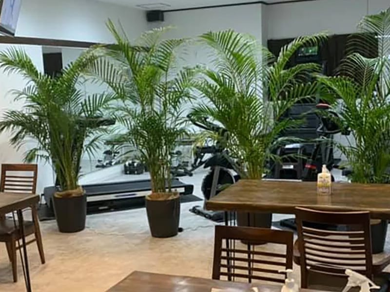 WANSTYLE　TOPOS - デイサービス in 沖縄市, 沖縄県 photo 1