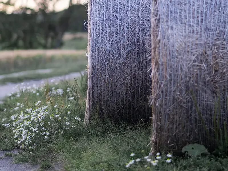 Centrum Norr Hemtjänst - Hemtjänst in Varberg, Hallands län photo 2
