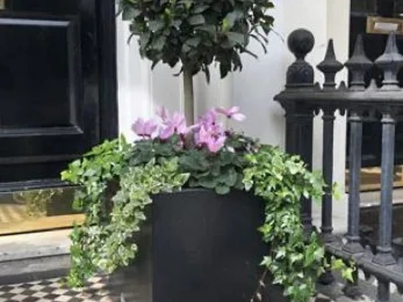 Chestnut Grange - Assisted Living in Newark, England photo 1