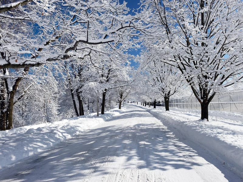 Avon Nursing Home, LLC - Nursing Home in Avon, NY photo 2