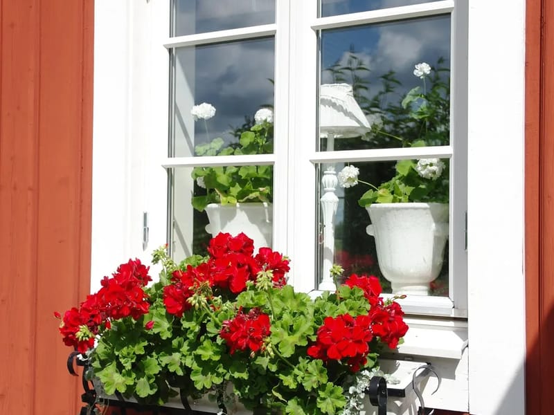 Sörgården - Äldreboende in Växjö, Kronobergs län photo 2