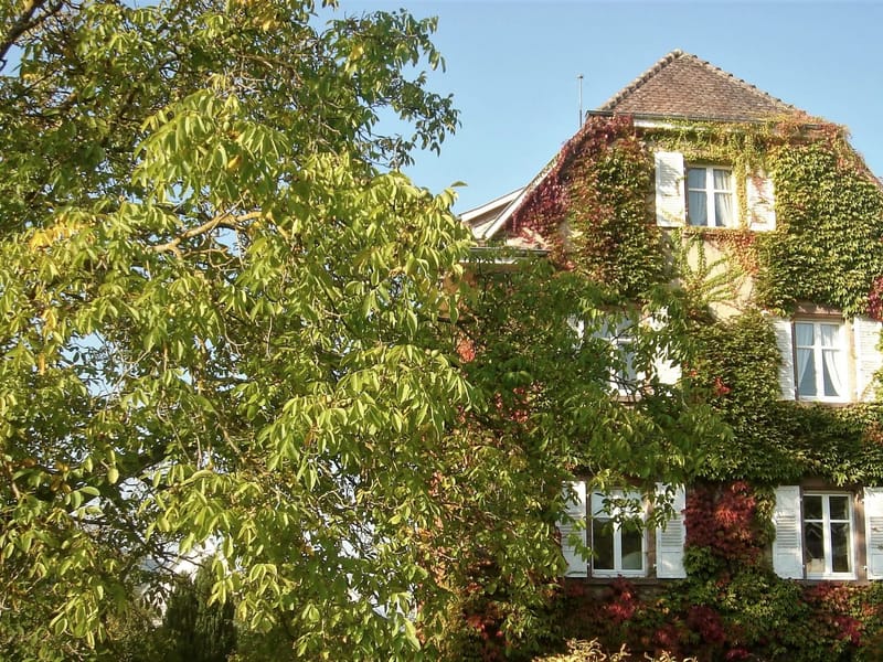 Seniorenzentrum Albert Schweitzer Haus - Pflegeheim in Grevenbroich, Nordrhein-Westfalen photo 1