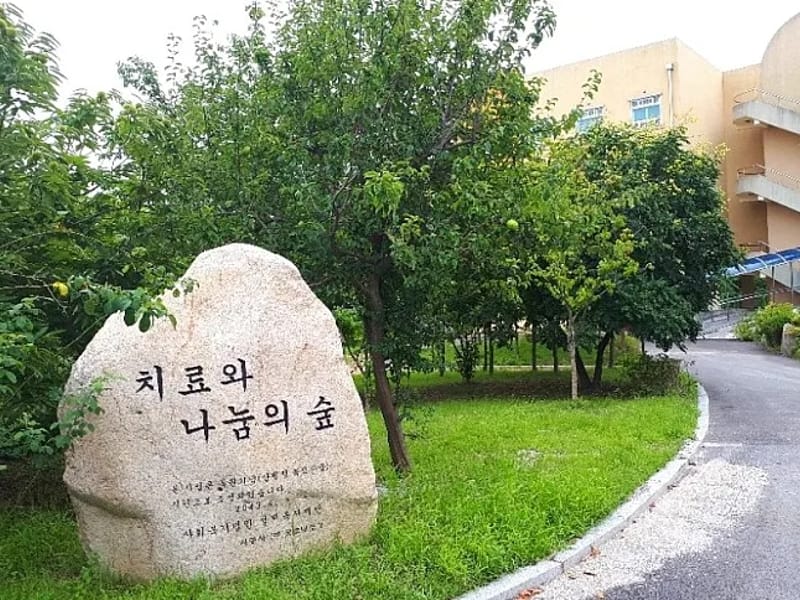 강릉효도마을 in 강릉시, 강원특별자치도 photo 3