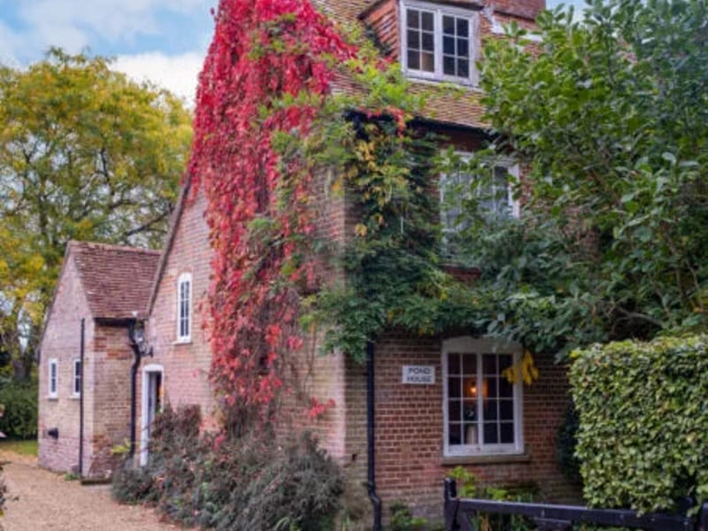 Home Instead New Forest - In-Home Care in Lymington, England photo 2