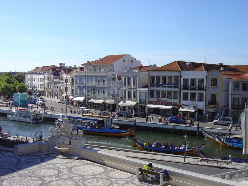 Habicuidados - Cuidado Domiciliar in Aveiro, Aveiro photo 2