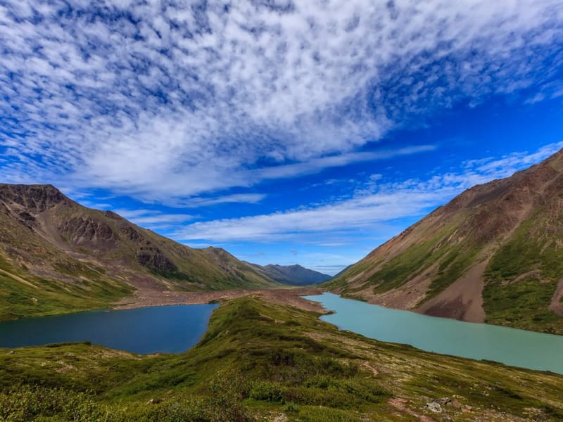 Alaska Migraine Specialists, LLC - Home Health Nursing in Eagle River, AK photo 1