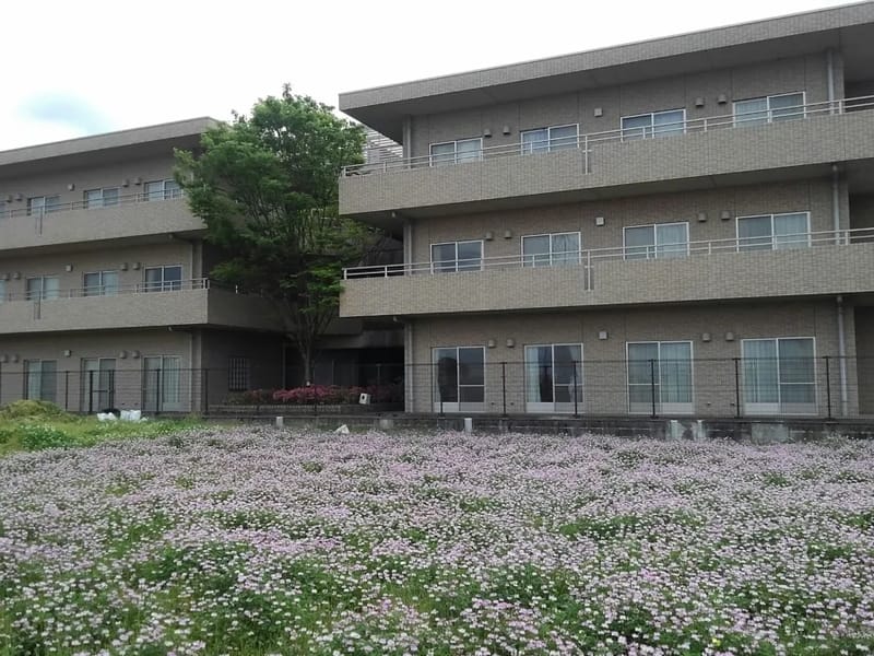 しらかばグループホーム - 認知症ケア in 枚方市, 大阪府 photo 2