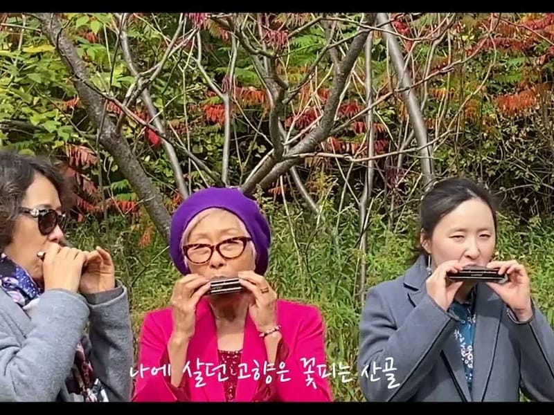 (주)현대다사랑실버 나들이복지센터 in 강서구, 부산광역시 photo 1