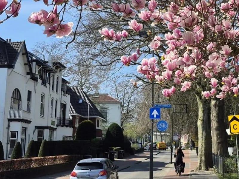 Benvenuta - Begeleid Wonen in Hilversum, Noord-Holland photo 3