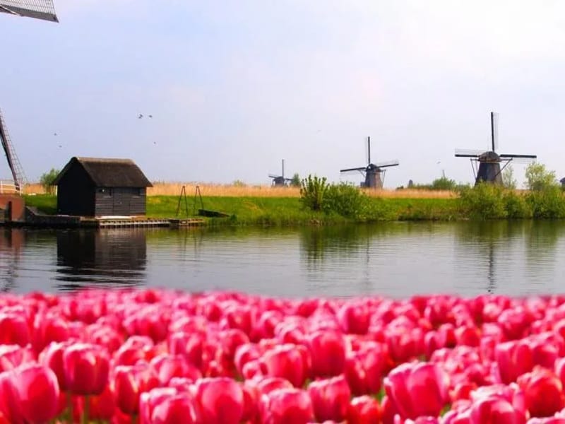 Benvenuta - Begeleid Wonen in Hilversum, Noord-Holland photo 2