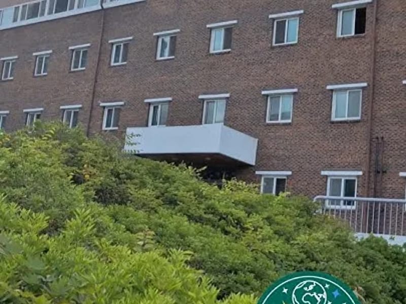 가평희망재가요양센터 - 방문요양 in 가평군, 경기도 photo 1