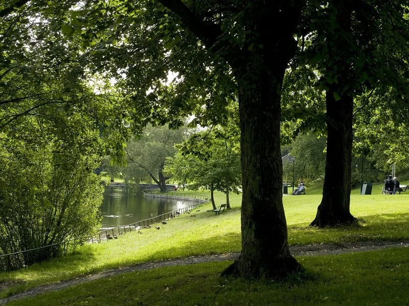 Attendo Vällingbygården - Äldreboende in Stockholm, Hässelby-Vällingby, Stockholms län photo 1