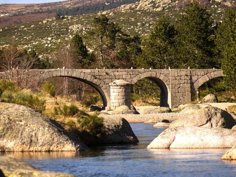 Ssiad PA Admr Mont Lozere Cevennes - Soins Infirmiers à Domicile in PONT DE MONTVERT SUD MONT, Occitanie photo 2