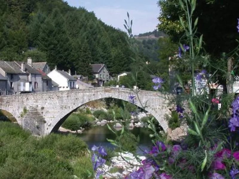 Ssiad PA Admr Mont Lozere Cevennes - Soins Infirmiers à Domicile in PONT DE MONTVERT SUD MONT, Occitanie photo 1