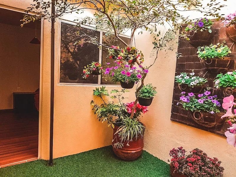 GUARDERIA PARA ADULTOS MAYORES LA VIDA ES BELLA - Hogar de Ancianos in Guadalajara, Jalisco photo 5