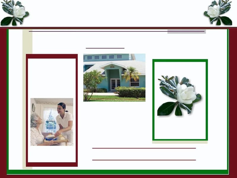 Magnolia Manor Inc - Assisted Living in Clearwater, FL photo 1