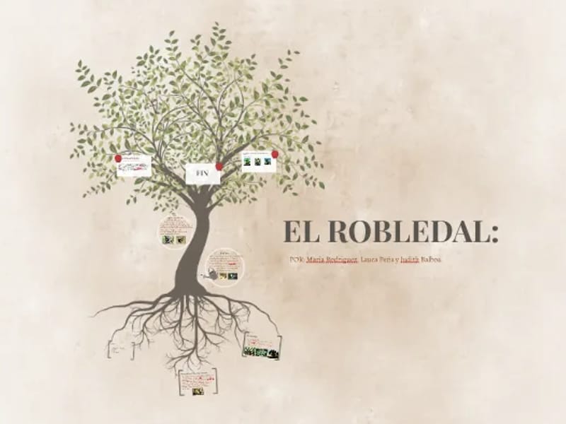 EL ROBLEDAL - Hogar de Ancianos in MERCEDES, BUENOS AIRES photo 2