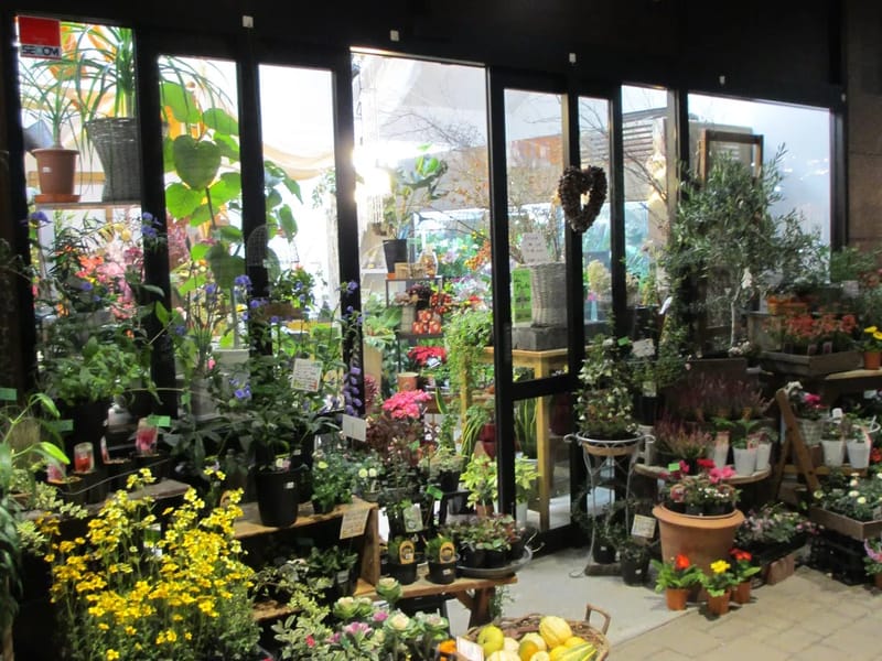 FairyRose - 有料老人ホーム in 山梨市, 山梨県 photo 2