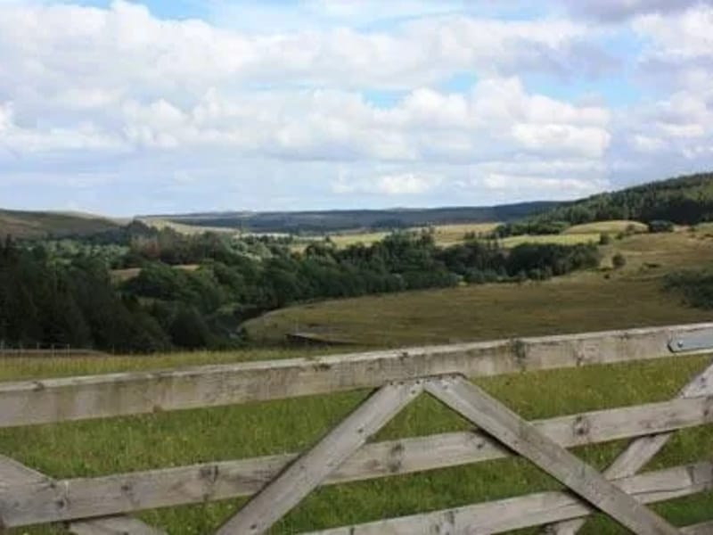 Tynedale in Sunderland, England photo 2