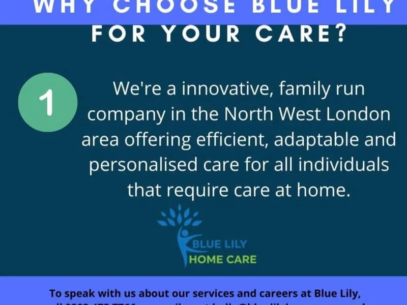 Blue Lily Home Care - In-Home Care in Harrow, England photo 1
