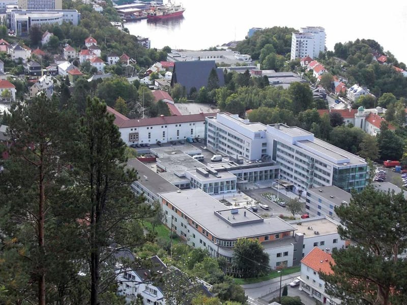Bergen Røde Kors aktivitetssenter - Dagaktivitet for voksne in Bergen, Hordaland photo 2