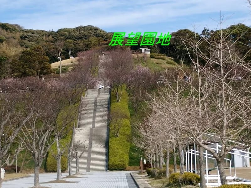 あんずの里 - 有料老人ホーム in 岐阜市, 岐阜県 photo 2