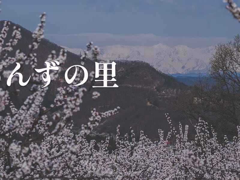 あんずの里 - 有料老人ホーム in 岐阜市, 岐阜県 photo 3