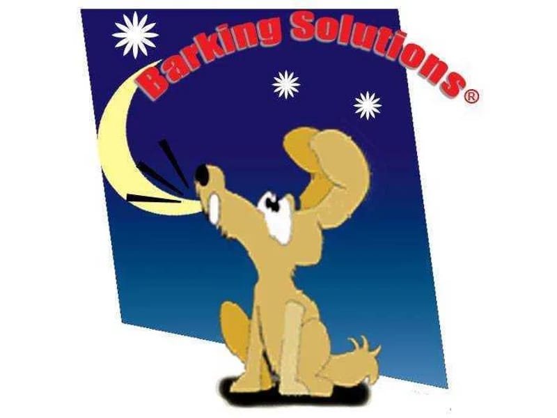 1Eclipse Care Solutions - In-Home Care in Barking, England photo 2