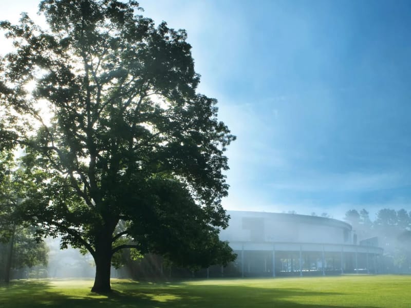 Tanglewood in Bromley, England photo 1