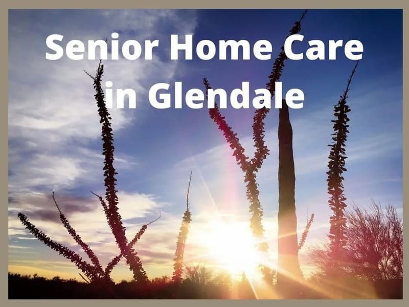 Aaa Home Care, INC., A California Corporation - Home Health Nursing in Glendale, CA photo 1