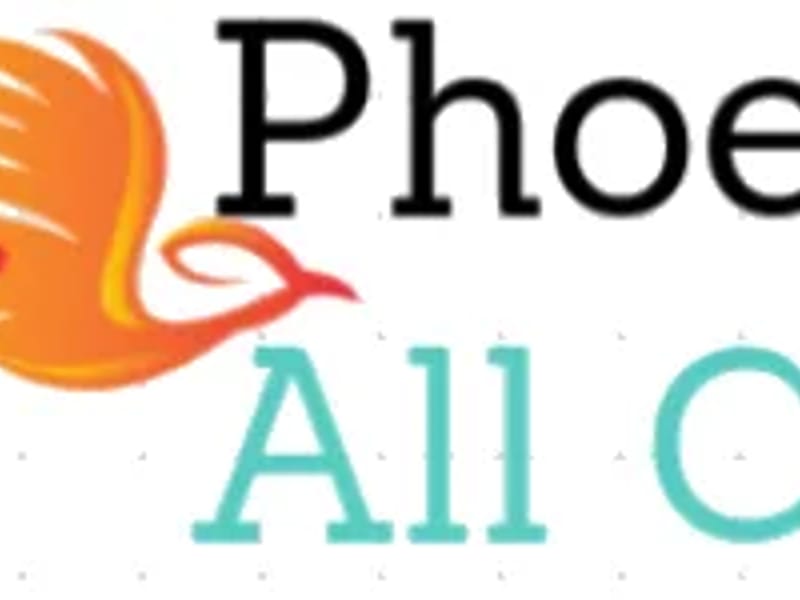 Phoenix All Care Ltd - In-Home Care in Chippenham, England photo 2