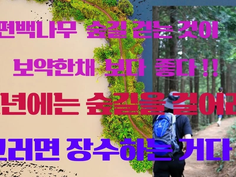 A무병365노인복지센터 - 방문요양 in 동구, 대구광역시 photo 2