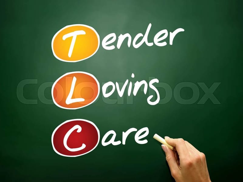 A Touch Of Loving Care - Home Health Nursing in Saint Louis, MO photo 2