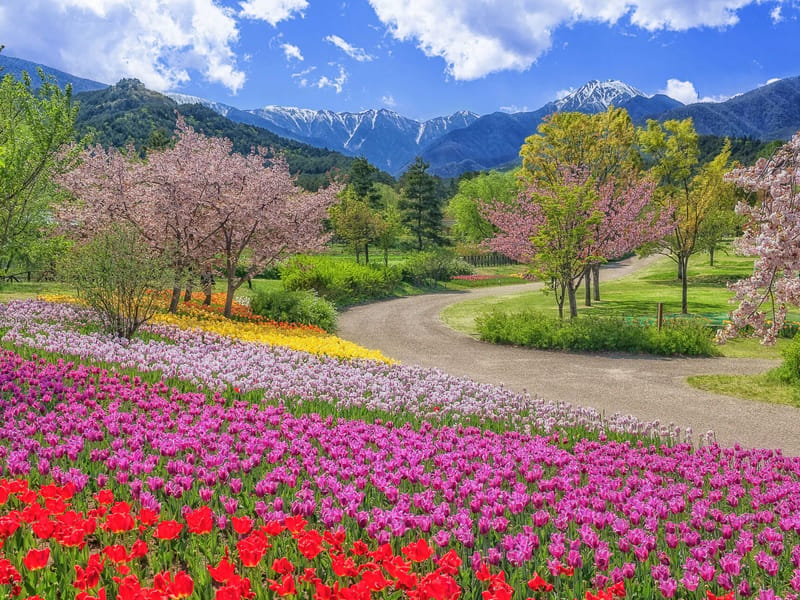 ウィズ安曇野 - 有料老人ホーム in 安曇野市, 長野県 photo 2