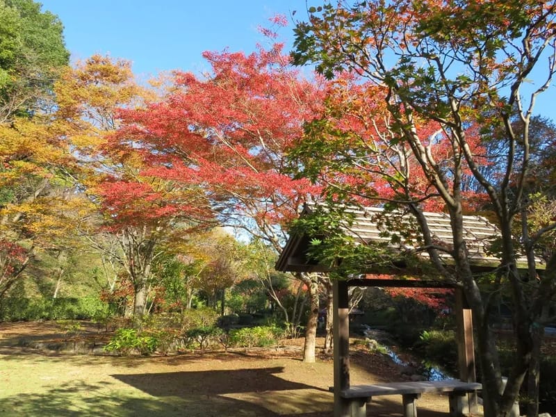 もみじ館 - 有料老人ホーム in 水戸市, 茨城県 photo 3