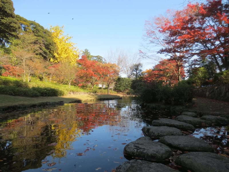 もみじ館 - 有料老人ホーム in 水戸市, 茨城県 photo 1