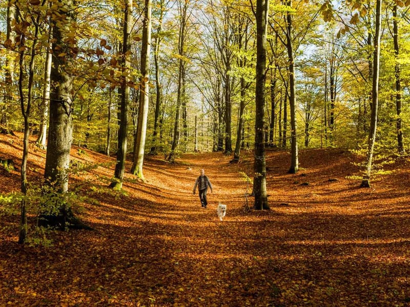 Fäladshöjden - Äldreboende in Lund, Skåne län photo 1