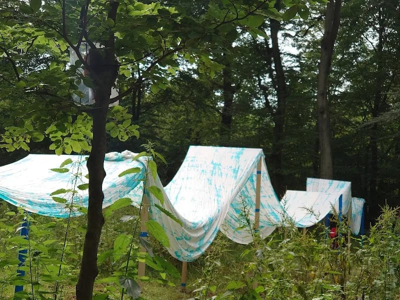 Westerhout - Begeleid Wonen in Alkmaar, Noord-Holland photo 2