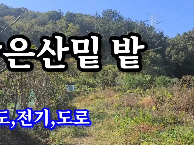 대산사랑방 in 함안군, 경상남도 photo 3