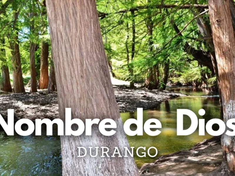 HOGAR DIVINA PROVIDENCIA DE VICENTE GUERRERO DURANGO - Hogar de Ancianos in Vicente Guerrero, Durango photo 2