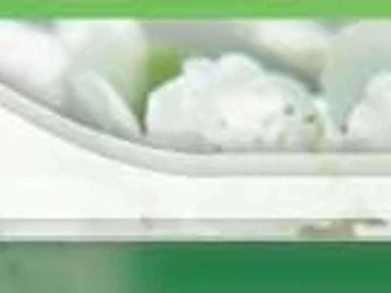 はとおかざきグループホーム長寿園 - 有料老人ホーム in 北上市, 岩手県 photo 3